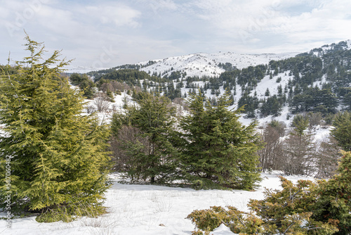 Panorama view of the Lebanon mountain region Baskinta in winter. photo