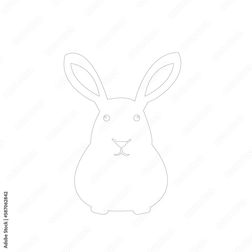 Obraz premium white rabbit isolated on white