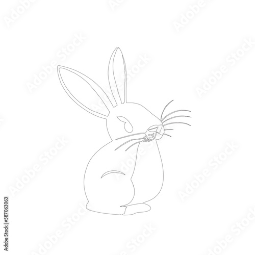 white rabbit with carrot © ANAMUL