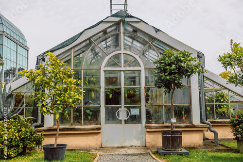 Canvas Print Green plants in botanical garden indoor