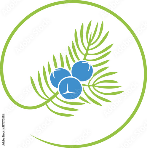 Juniper berries logo. Isolated Juniper berries on white background