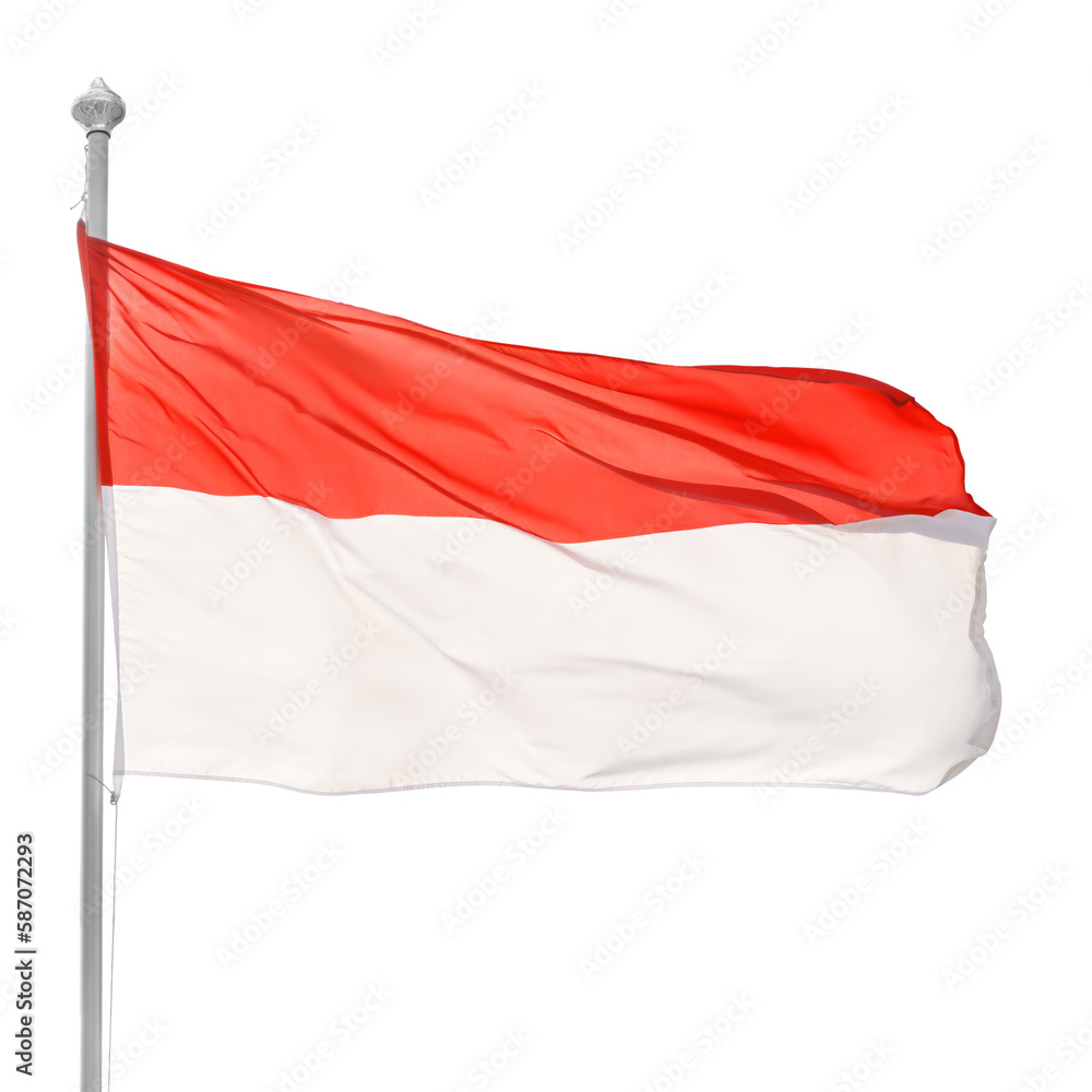 Polish flag on flagpole. Isolated png with transparency Polish flag on flagpole. Isolated png with transparency