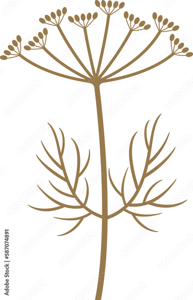 Obraz premium Caraway logo. Isolated caraway on white background