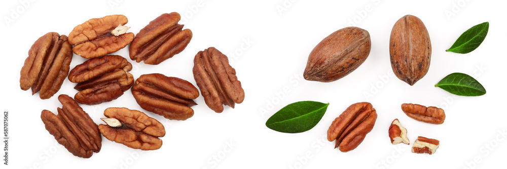 pecan nut isolated on white background. Top view. Flat lay pecan nut isolated on white background. Top view. Flat lay