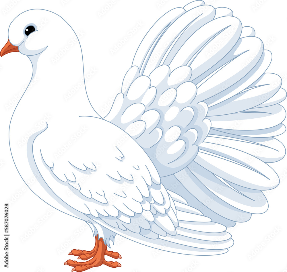 White Dove Cartoon Illustration Stock Illustration Adobe Stock