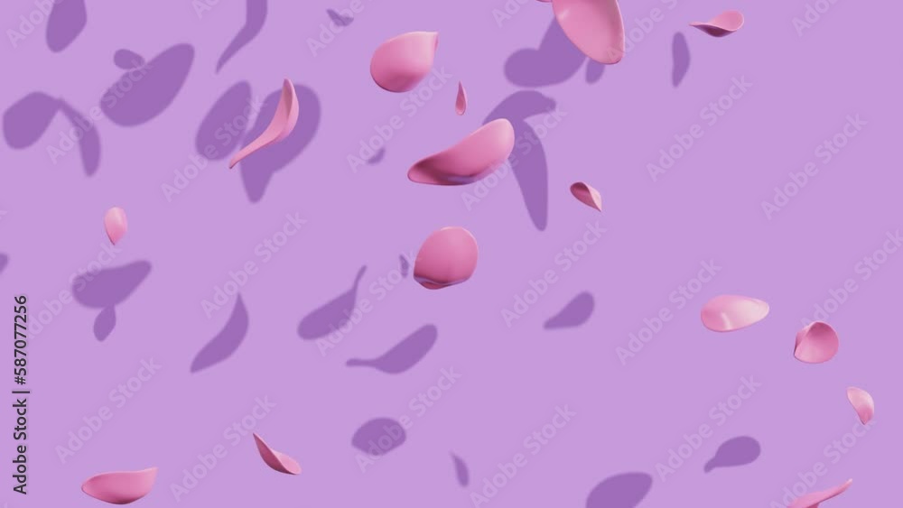 Pink petals fall and fly on a lilac background. Abstract animation Pink petals fall and fly on a lilac background. Abstract animation