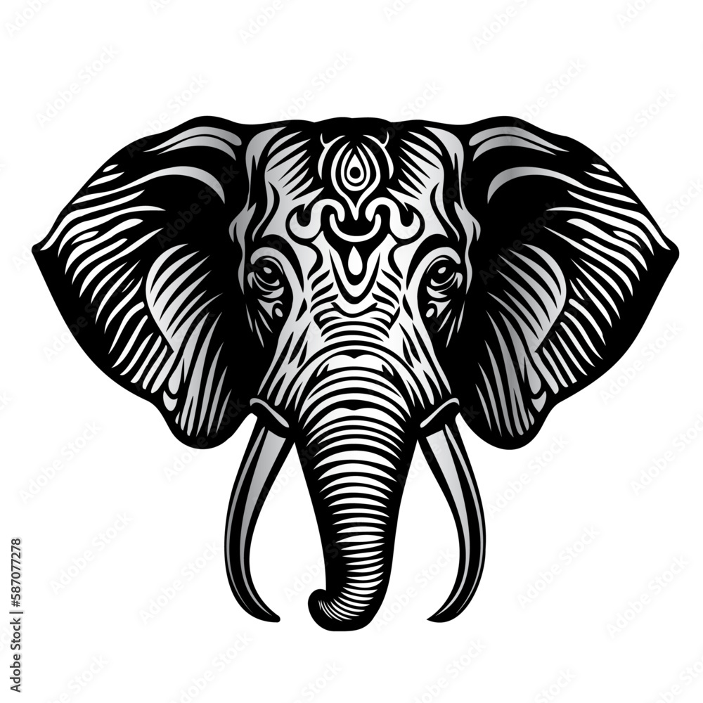 Vector elephant isolated on white background Vector elephant isolated on white background