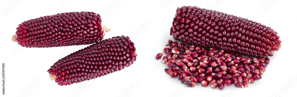 Purple corn or maize isolated on white background with full depth of field. Top view. Flat lay Purple corn or maize isolated on white background with full depth of field. Top view. Flat lay
