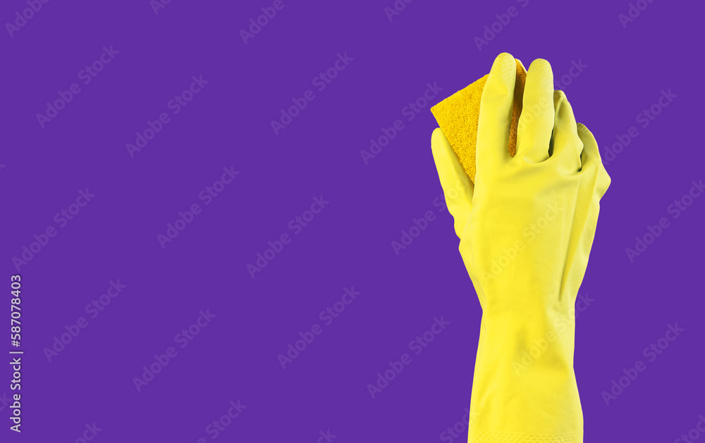 Yellow washing sponge in hand in glove on purple violet background, ad banner for professional cleaning service Yellow washing sponge in hand in glove on purple violet background, ad banner for professional cleaning service