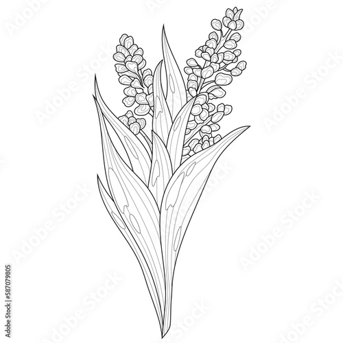 Flower twig.Coloring book antistress for children and adults. Illustration isolated on white background.Zen-tangle style. Hand draw