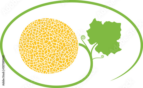Melon logo. Isolated melon on white background