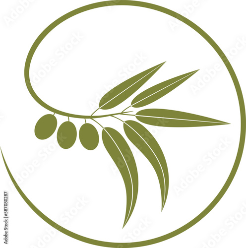 Olive branch logo. Isolated olive on white background