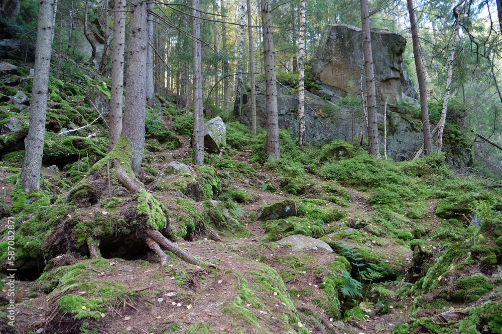 Dovbush Rocks in the forest near Yaremche city, Ukraine Dovbush Rocks in the forest near Yaremche city, Ukraine