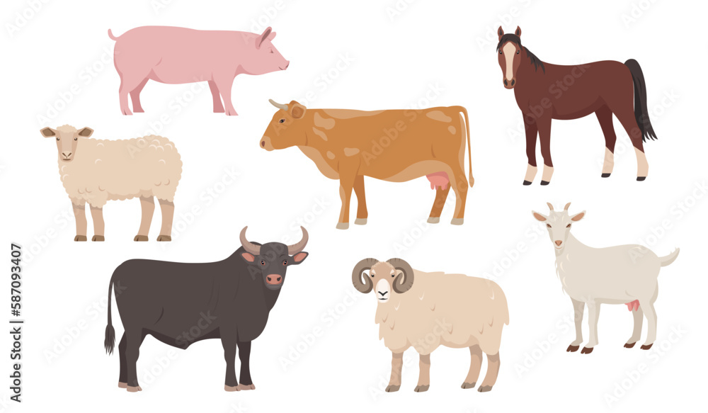 Set of farm animals in different poses and colors. Cow, bull, sheep, pig, ram horse and goat. Vector flat or cartoon illustration. Farm animal icons isolated on white background.