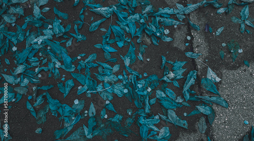 blue leaves on the asphalt. top view of blue leaf on the road. a background of fantasy leaves fallen to the ground