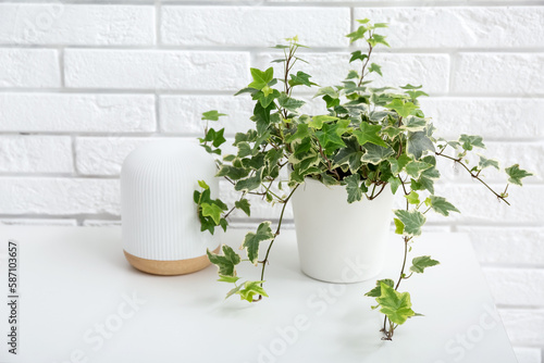 Green houseplant and lamp on table near white brick wall © Pixel-Shot