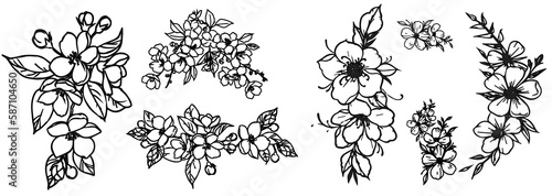 Vector illustrations. Hand-drawn  Vintage drawings on the chalkboard. Flowering vintage collection flowers sketches. Botanical vector illustrations isolated on white. Botanical drawings of hand drawn 