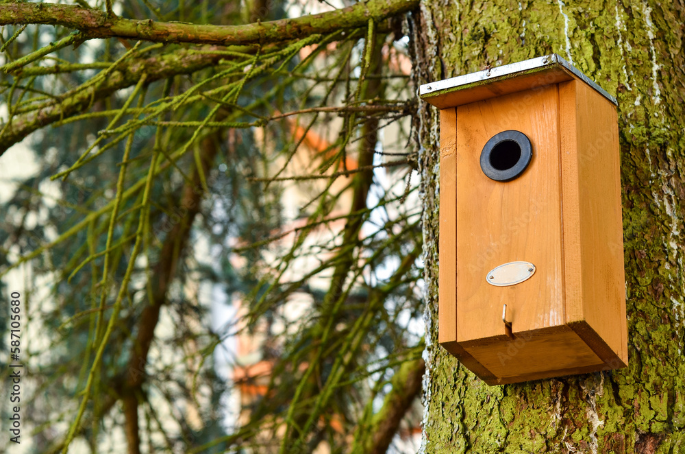 View of bird house on tree