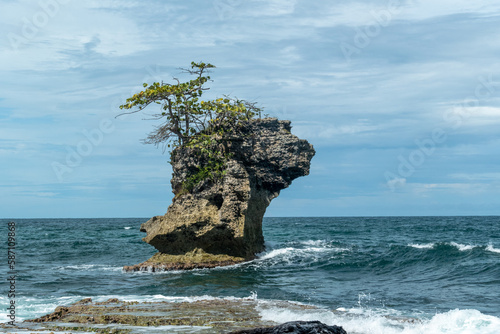 Tiny rocky island with a small tropical tree on top surrounded with blue sea water in Manzanillo, Costa Rica
