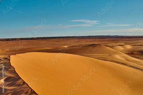Sands dunes in the desert 