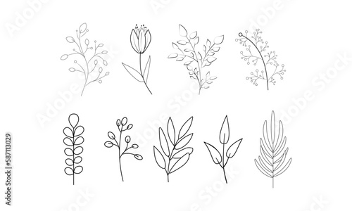 Set of hand-drawn tree leaves  branches  and flowers isolated on the white background. Trendy  cute linear vector branches  natural elements for decorations  designs  frames  banners  templates.