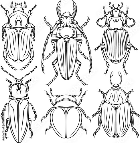 Stylized contour set of bugs. Design elements, decor, tattoo, line art sketch style. Highly detailed and accurate lines for print or engraving