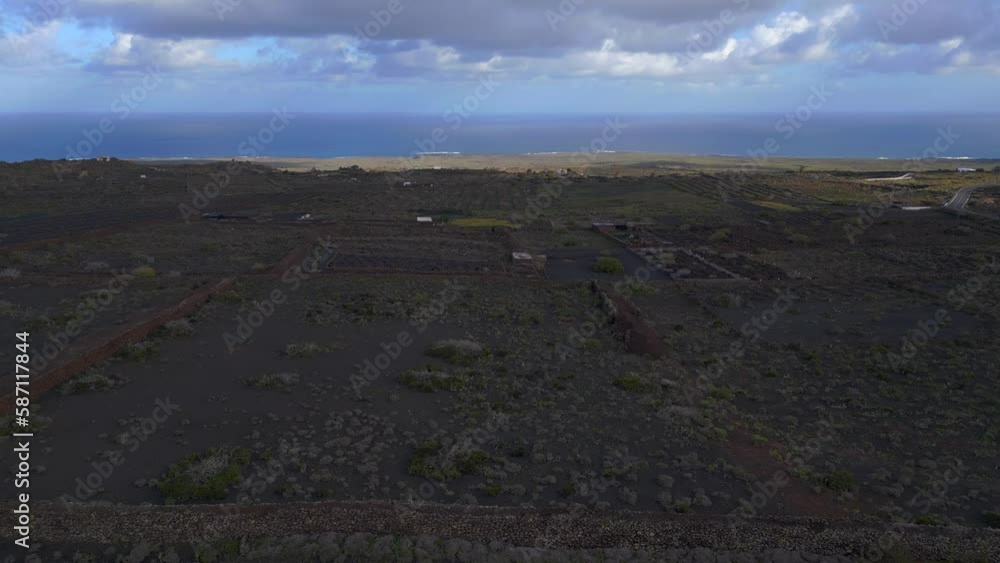 Agriculturally used fertile lava soil at Lanzarote Best aerial view flight drone Agriculturally used fertile lava soil at Lanzarote Best aerial view flight drone