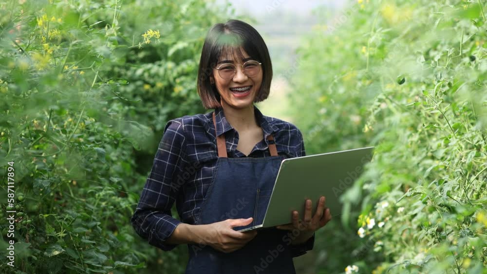 Farmer inspecting and smart farming technology with digital laptop computer, Farmer woman using technology control of quality with smart digital agriculture concept. Farmer inspecting and smart farming technology with digital laptop computer, Farmer woman using technology control of quality with smart digital agriculture concept.