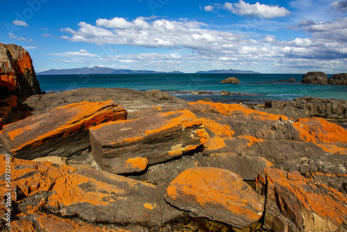 Lichen Covered rocks on Tasmania's South East coastline
