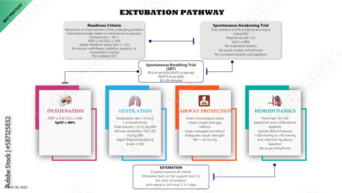A pathway infographic with 4 main steps and algorithm. 