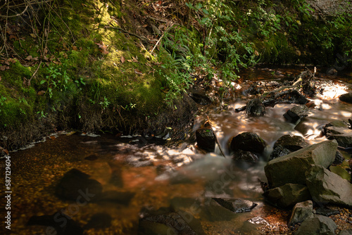 stream running through lively landscape long exposure background