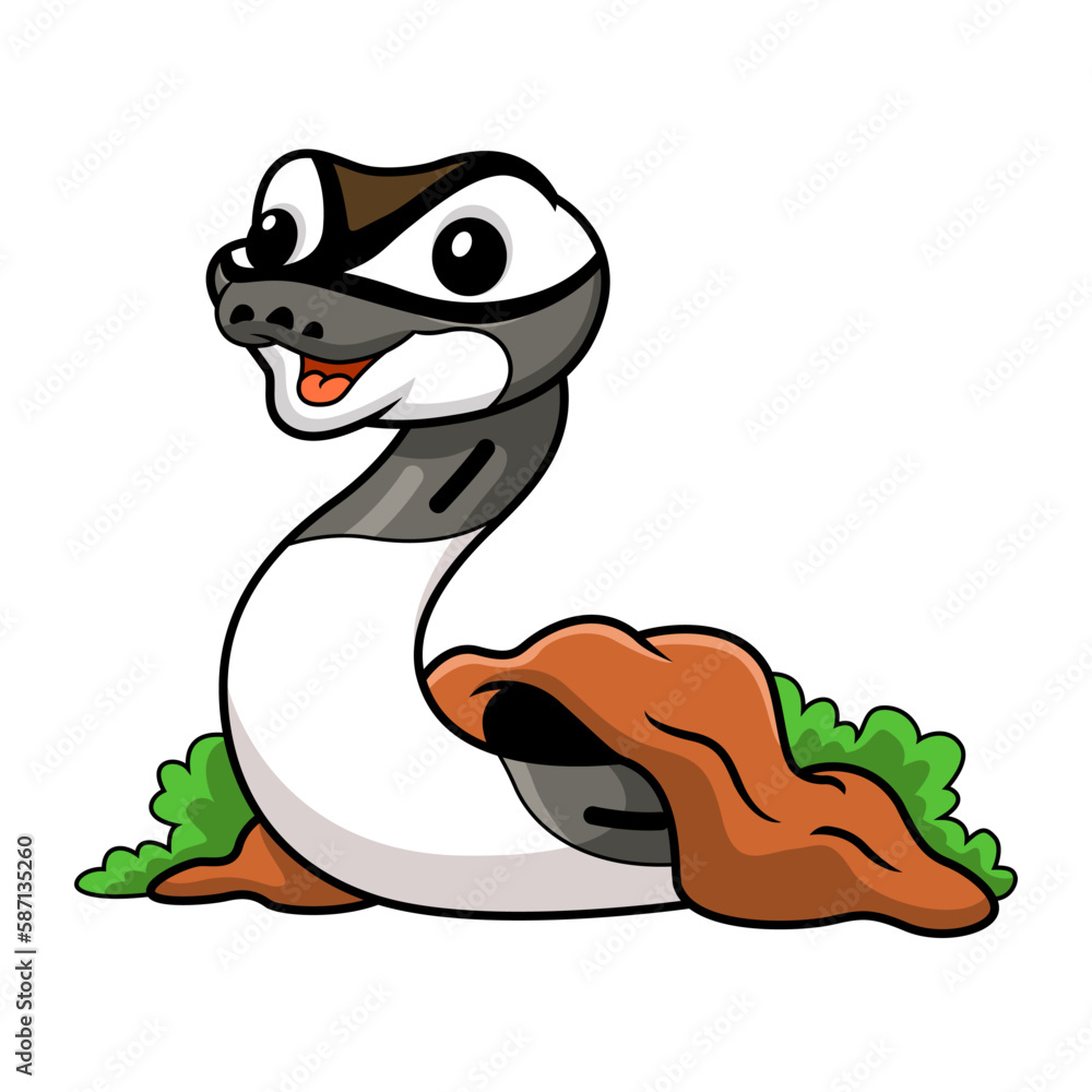 Fototapeta premium Cute axanthic pied ball python cartoon out from hole