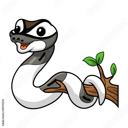 Cute axanthic pied ball python cartoon on tree branch photo
