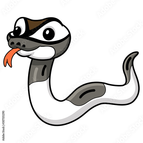 Cute axanthic pied ball python cartoon photo