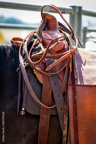 Horse Saddle and rigging. 
