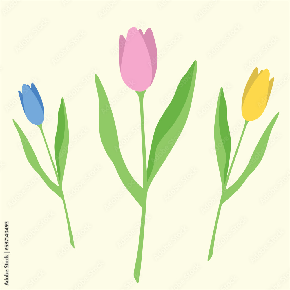 Springtime flowers illustration