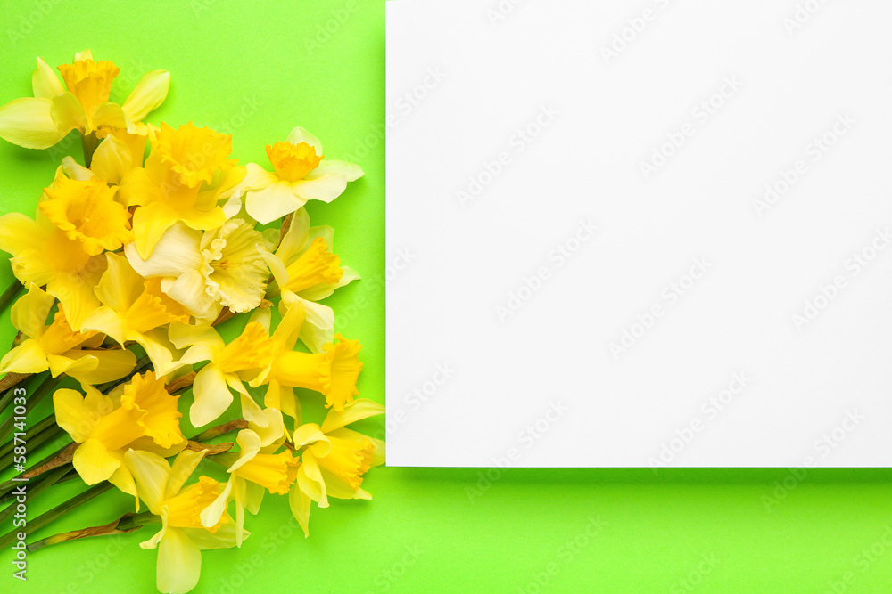 Beautiful narcissus and rectangular blank card on color background Beautiful narcissus and rectangular blank card on color background