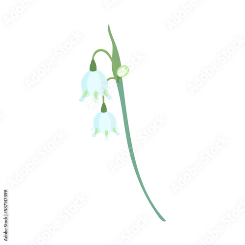 スノーフレークの花。フラットなベクターイラスト。
Flowers of summer snowflake. Flat designed vector illustration.