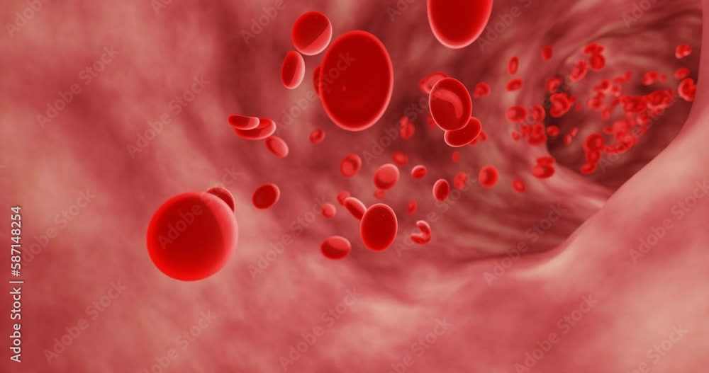 Red blood cells in an artery or blood vessel , flow inside body ...