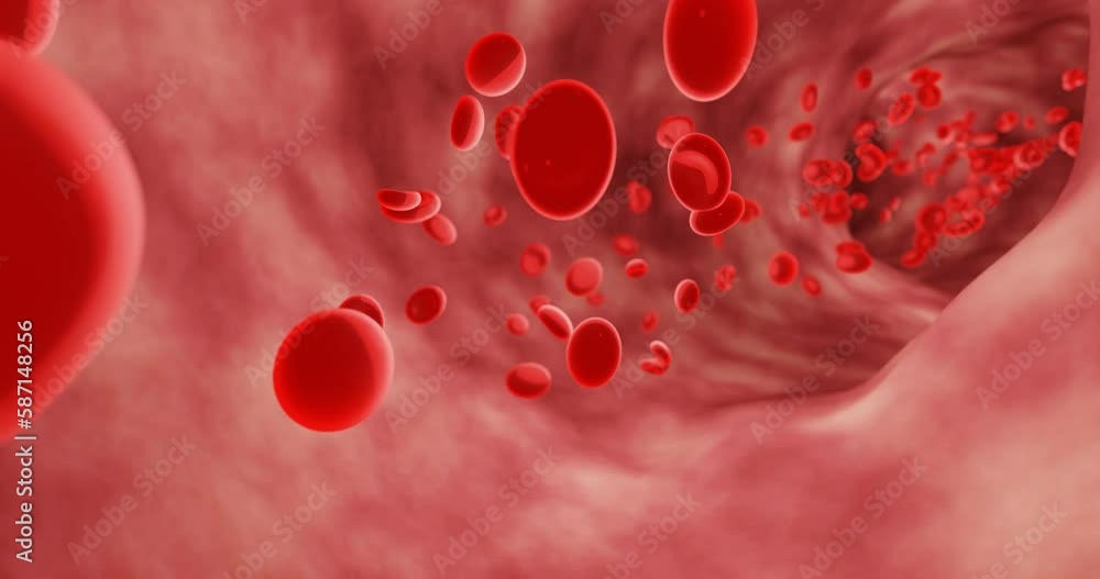 Red blood cells in an artery or blood vessel, flow inside the body, medical human health-care. 3D Rendering. Red blood cells in an artery or blood vessel, flow inside the body, medical human health-care. 3D Rendering.