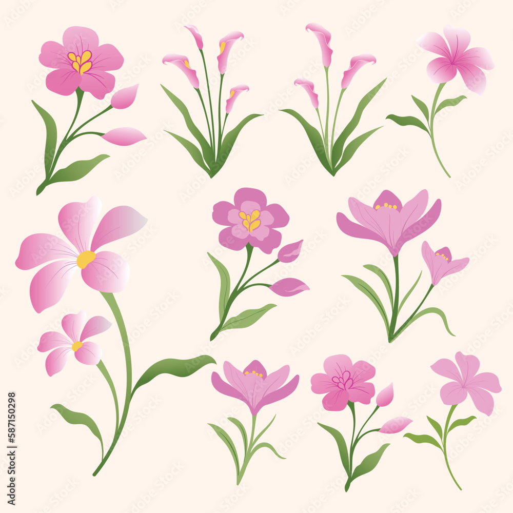 flowers and leaf flowers and leaf