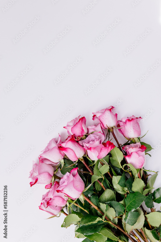 Bouquet of beautiful fresh pink roses on a white background. Fresh flowers on a white canvas. Place for text. Mock up. Gift for Mother’s Day, International woman’s day, Valentine’s Day.