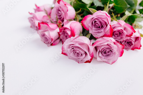 Bouquet of beautiful fresh pink roses on a white background. Fresh flowers on a white canvas. Place for text. Mock up. Gift for Mother   s Day  International woman   s day  Valentine   s Day.