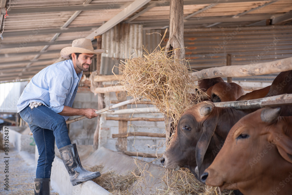 The farmer feeds the cows on the farm. The farmer feeds the cows on the farm.