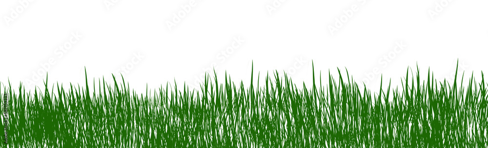 digitally rendered green grass isolated on white. digitally rendered green grass isolated on white.