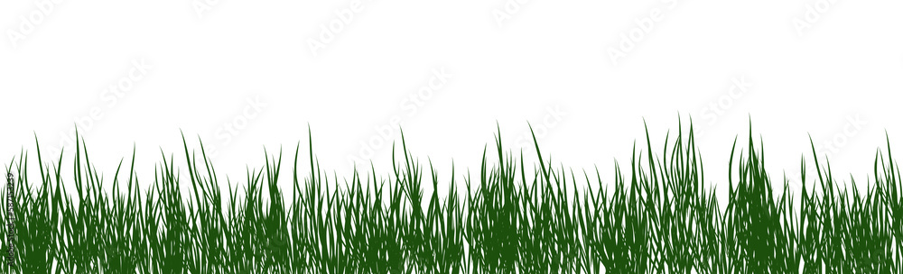digitally rendered green grass isolated on white. digitally rendered green grass isolated on white.
