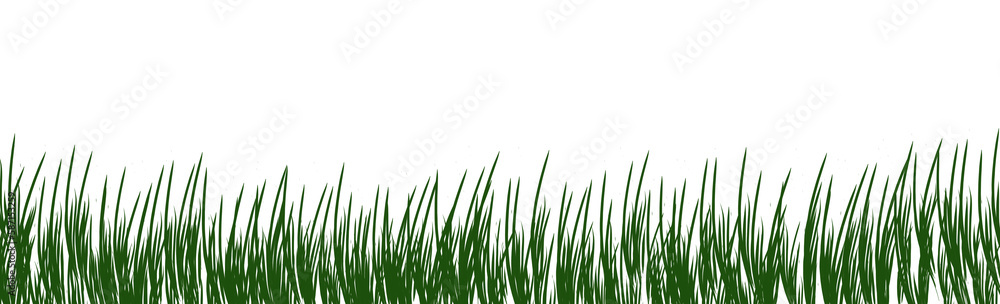 digitally rendered green grass isolated on white. digitally rendered green grass isolated on white.
