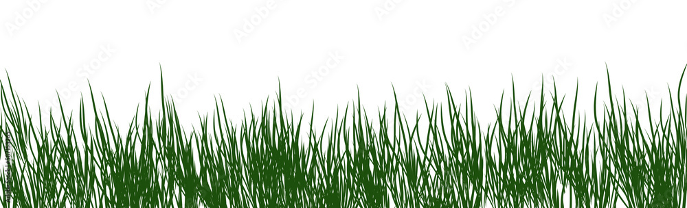 digitally rendered green grass isolated on white. digitally rendered green grass isolated on white.
