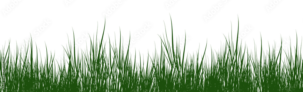 digitally rendered green grass isolated on white. digitally rendered green grass isolated on white.