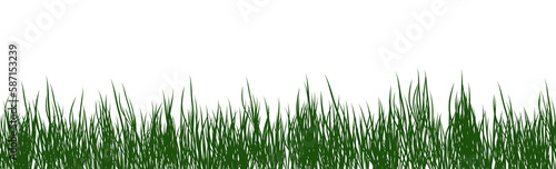 digitally rendered green grass isolated on white.
